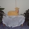 dsc00201